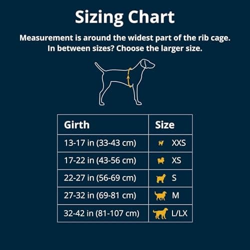 Ruffwear Front Range Dog Harness thumbnail 2