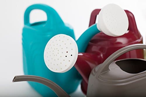 Bloem Deluxe Watering Can 2.5 Gallon thumbnail 4