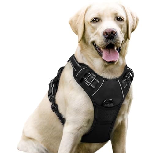 rabbitgoo No Pull Dog Harness - image 1