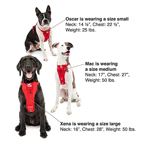 Kurgo Tru-Fit Smart Dog Harness thumbnail 5