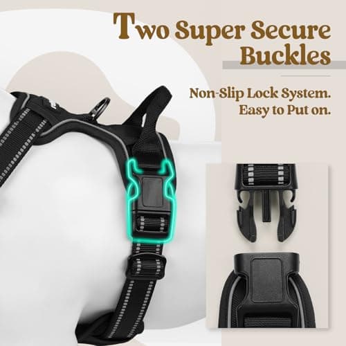 rabbitgoo No Pull Dog Harness thumbnail 3