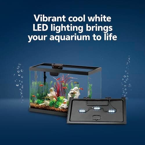 Aqueon Aquarium Starter Kit with SmartClean 10 Gallon thumbnail 4