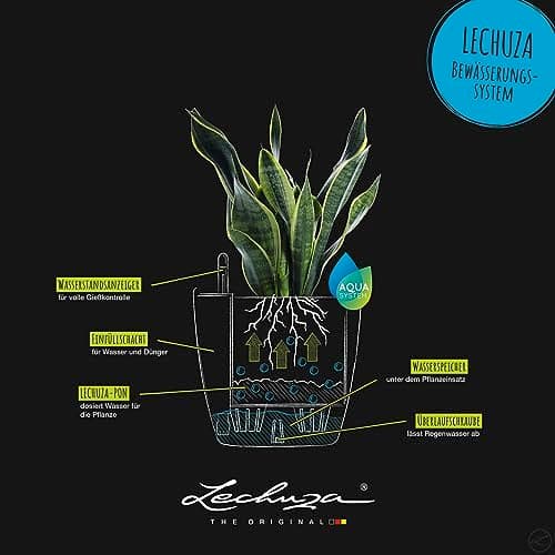 Lechuza Classico 35 Self-Watering Planter thumbnail 5