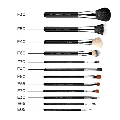 Sigma Beauty Essential Makeup Brush Set (12 Piece) thumbnail 5