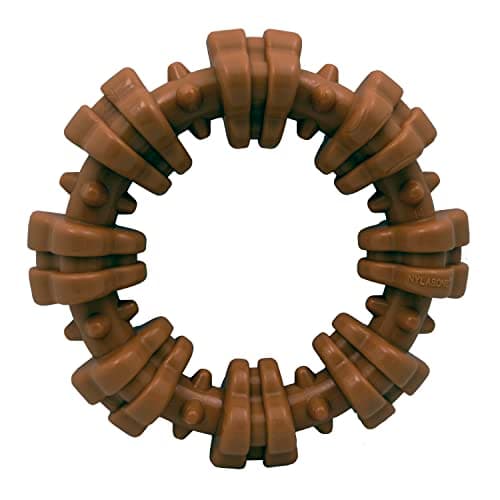 Nylabone Power Chew Textured Ring - image 1
