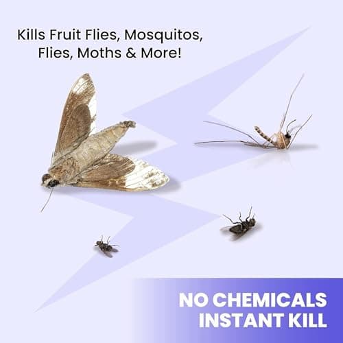 LiBa Electric Bug Zapper Indoor Insect Killer thumbnail 2