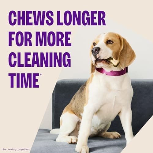 WHIMZEES Wellness Brushzees Natural Dental Chews, Medium (12.7 oz.) thumbnail 5