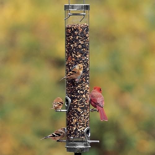 Droll Yankees Classic Sunflower Tube Bird Feeder (20-Inch, 6-Port) thumbnail 2