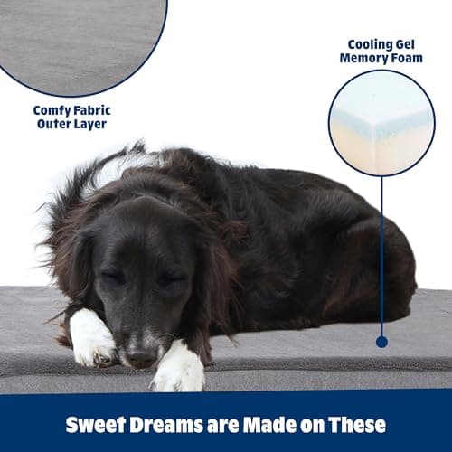 BarkBox Memory Foam Dog Bed thumbnail 2