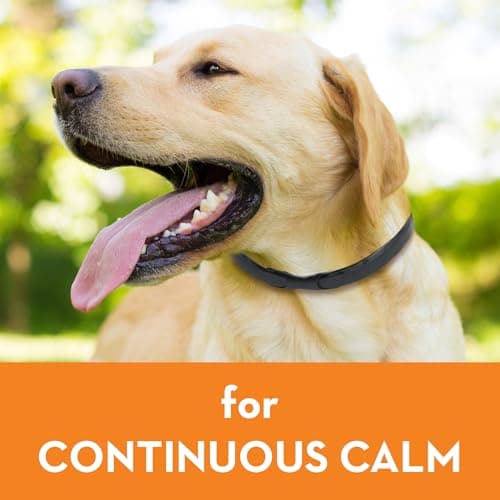 Adaptil Calm On-the-Go Collar for Dogs thumbnail 5