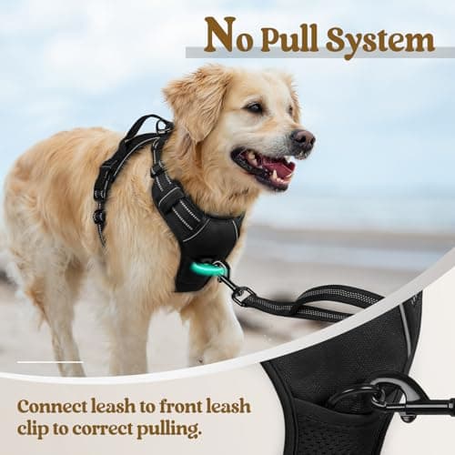 rabbitgoo No Pull Dog Harness thumbnail 5