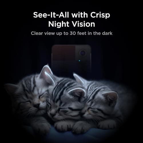 Petcube Play 2 Wi-Fi Pet Camera with Laser Toy thumbnail 5