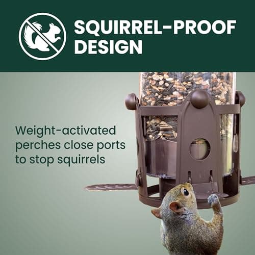 Perky-Pet Squirrel-Be-Gone Max Large Wild Bird Feeder thumbnail 2