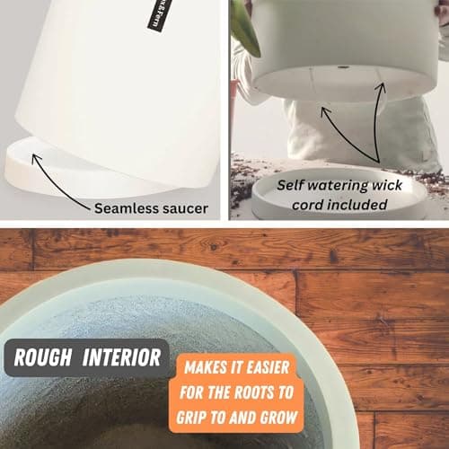 Fox & Fern Modern Plant Pot with Drainage Hole and Saucer thumbnail 2