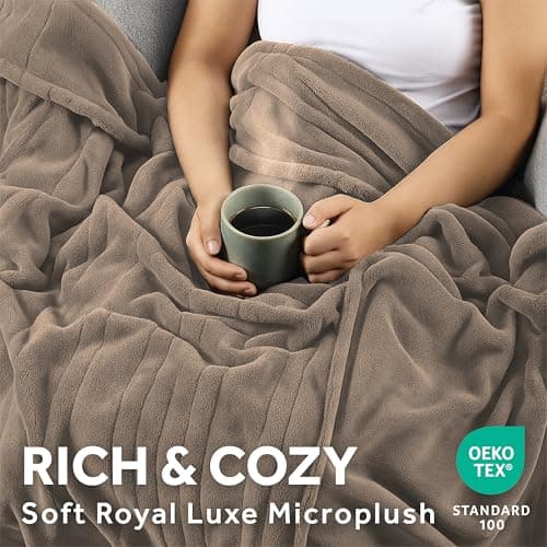 Sunbeam Heated Blanket Premium Soft Microplush thumbnail 4