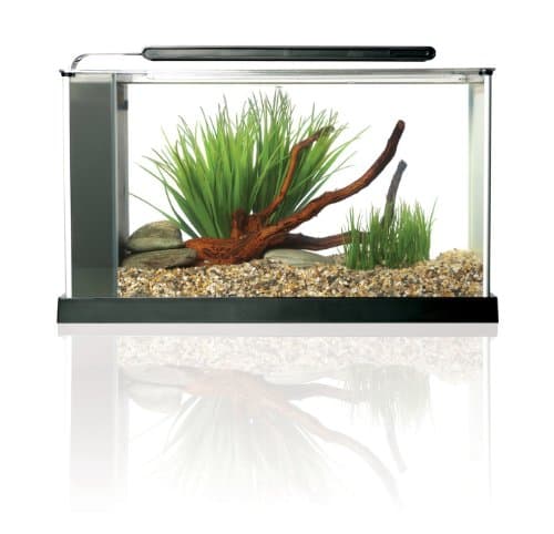 Fluval Spec V Aquarium Kit 5-Gallon thumbnail 2