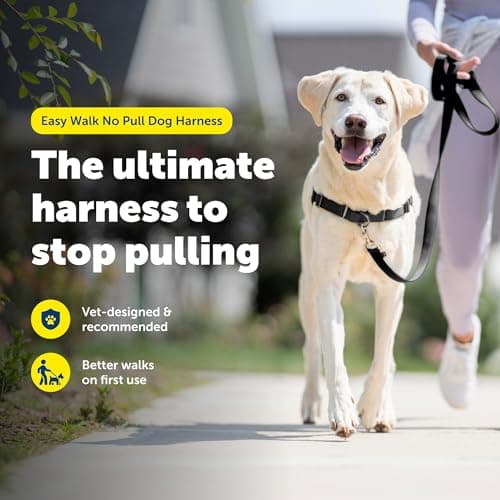 PetSafe Easy Walk No-Pull Dog Harness thumbnail 3