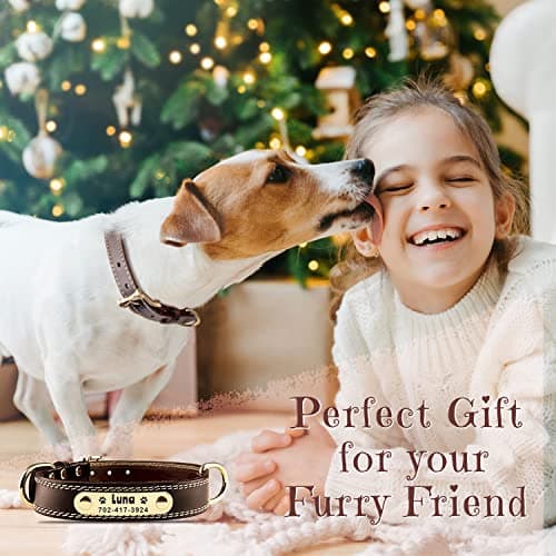 Personalized Leather Dog Collar with Engraved Nameplate thumbnail 2