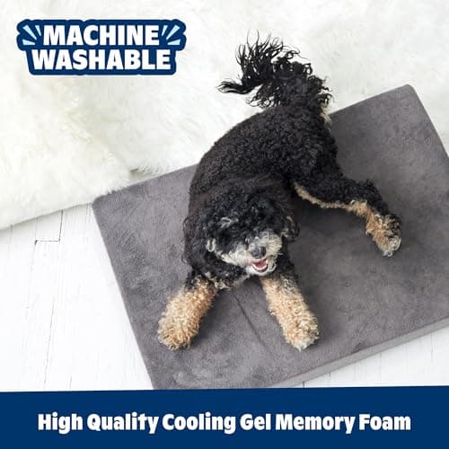BarkBox Memory Foam Dog Bed thumbnail 5