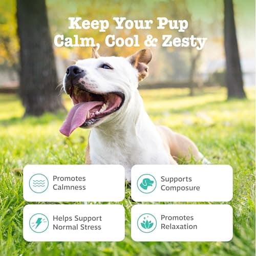 Zesty Paws Calming Bites for Dogs thumbnail 2