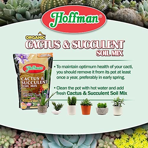 Hoffman 10410 Organic Cactus and Succulent Soil Mix thumbnail 5