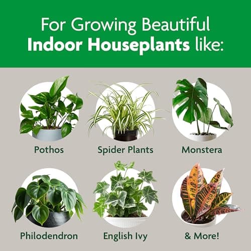 Miracle-Gro Indoor Potting Mix thumbnail 4