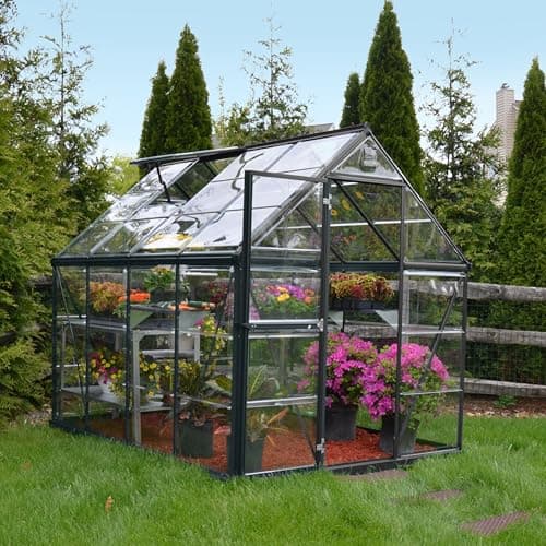 Palram Harmony 6x8 Polycarbonate Greenhouse thumbnail 4