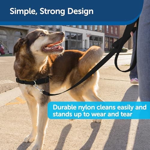 PetSafe Nylon Dog Leash thumbnail 4