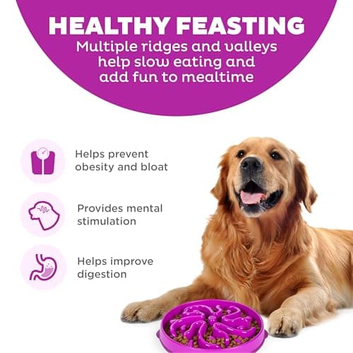 Outward Hound Fun Feeder Slo Bowl thumbnail 2