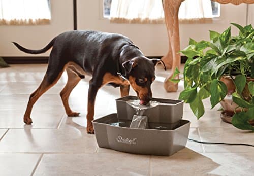 PetSafe Drinkwell Multi-Tier Pet Fountain thumbnail 2