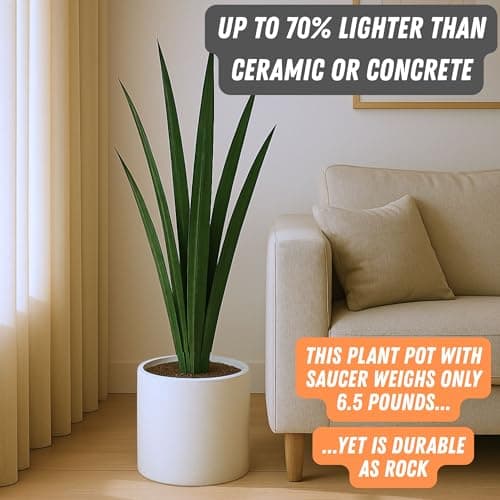 Fox & Fern Modern Plant Pot with Drainage Hole and Saucer thumbnail 4