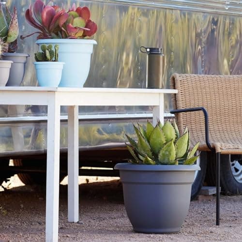 Bloem Ariana Self-Watering Planter thumbnail 2