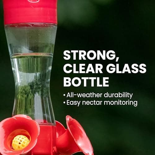 Perky-Pet Our Best Glass Hummingbird Feeder (30 oz) thumbnail 2