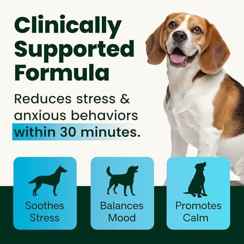 VetriScience Composure Chews for Dogs thumbnail 3