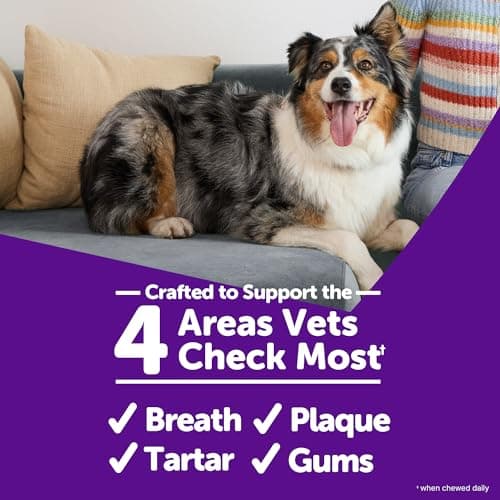 WHIMZEES Wellness Brushzees Natural Dental Chews, Medium (12.7 oz.) thumbnail 4