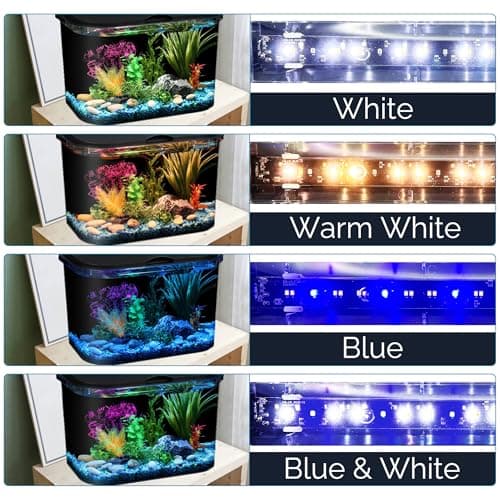 Koller Products 5-Gallon Panaview Aquarium Kit thumbnail 3