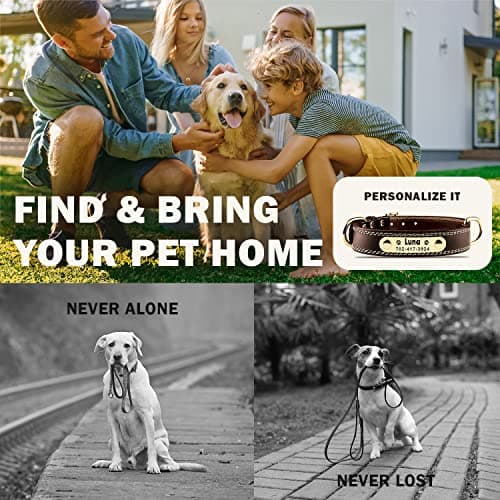 Personalized Leather Dog Collar with Engraved Nameplate thumbnail 5