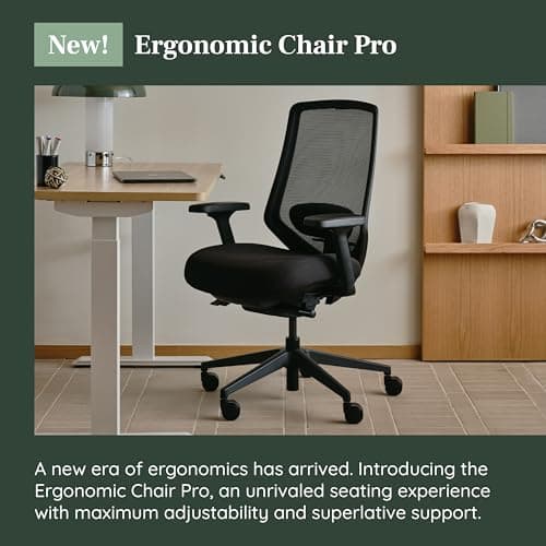 Branch Ergonomic Chair thumbnail 4