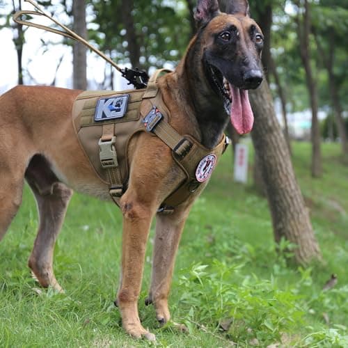 ICEFANG Tactical Dog Harness thumbnail 4