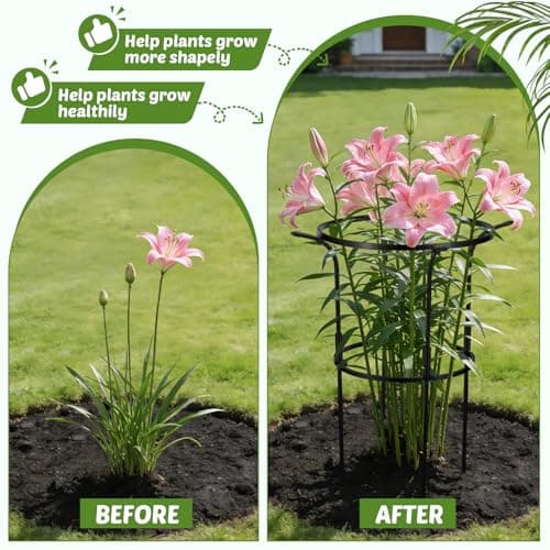 Circular Ring Bloom thumbnail 4