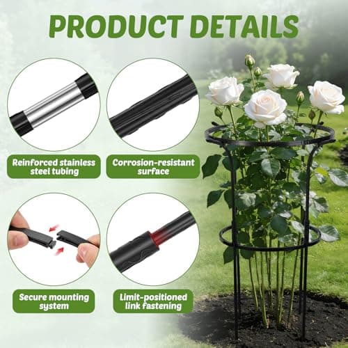 Circular Ring Bloom thumbnail 3