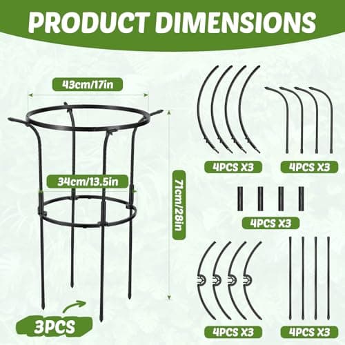 Circular Ring Bloom thumbnail 2