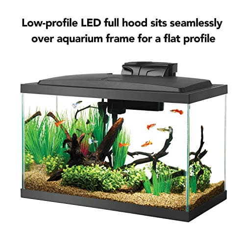 Aqueon LED Aquarium Kit 10-Gallon thumbnail 5