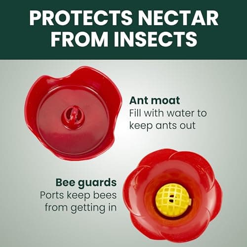 Perky-Pet Our Best Glass Hummingbird Feeder (30 oz) thumbnail 4