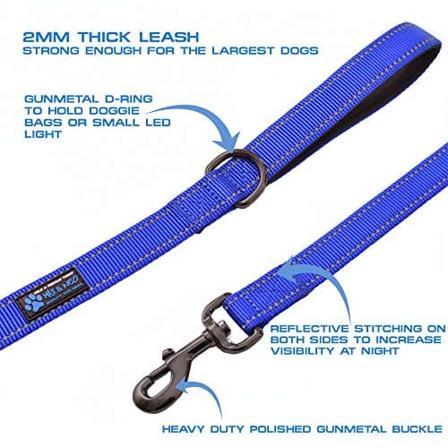 Max and Neo Double Handle Reflective Dog Leash thumbnail 2