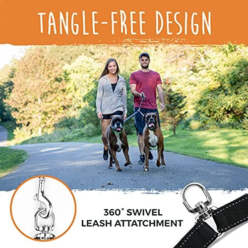 Mighty Paw HandleX2 Dual Handle Dog Leash thumbnail 5