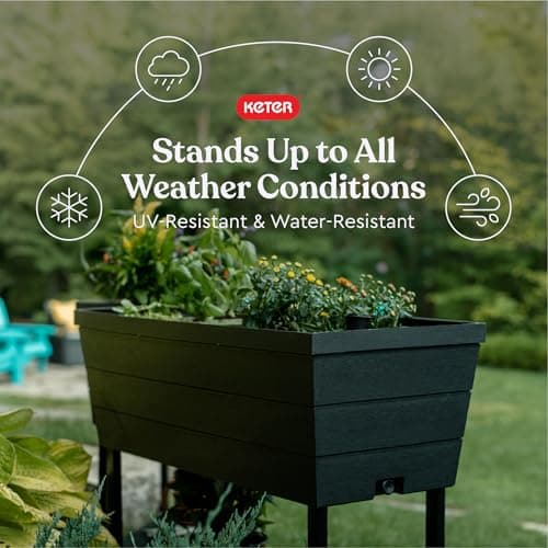 Keter Easy Grow Elevated Raised Garden Bed Planter thumbnail 3