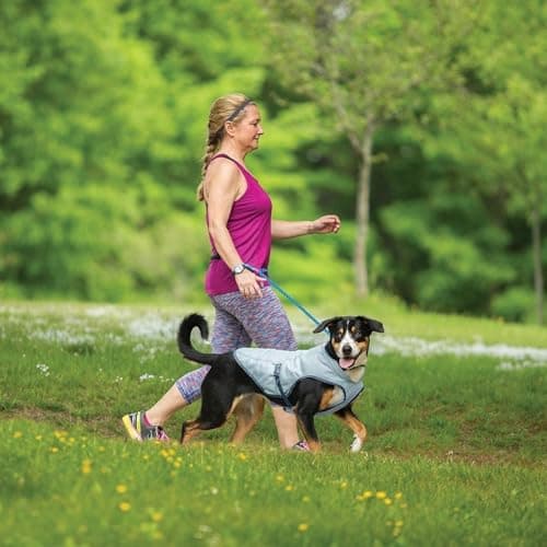 Kurgo Core Cooling Dog Vest thumbnail 5