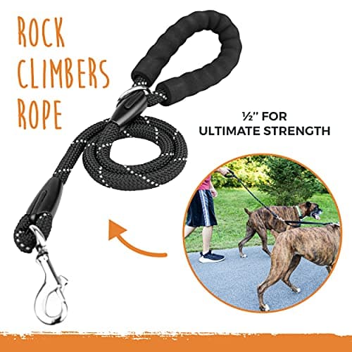 Mighty Paw HandleX2 Dual Handle Dog Leash thumbnail 3