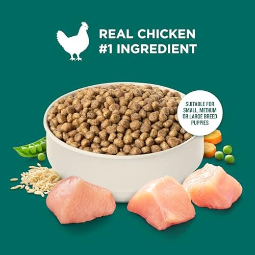 Rachael Ray Nutrish Natural Puppy Chicken & Brown Rice thumbnail 4